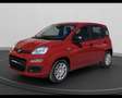 Fiat Panda My25 1.0 70cv Hybrid Panda Rosso - thumbnail 1