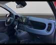Fiat Panda My25 1.0 70cv Hybrid Panda Rosso - thumbnail 15