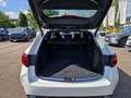 Toyota Corolla Touring Sports 2.0 Lounge/Panodach Alb - thumbnail 11