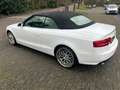 Audi A5 Cabriolet 2.0 TFSI quattro S-edition CABRIO Wit - thumbnail 6