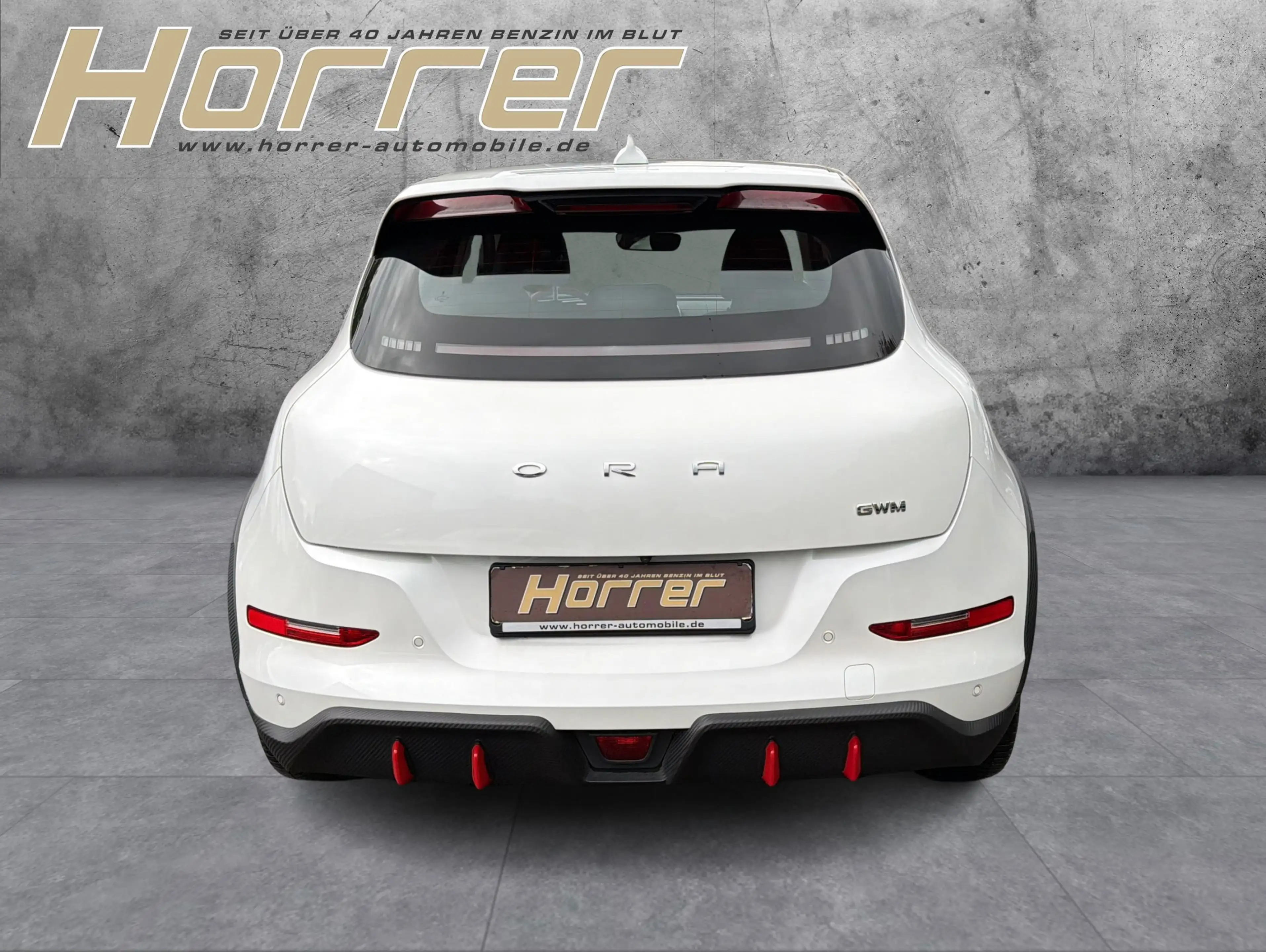 Ora Funky Cat GT ACC LED PANO-DACH 360°K Wärmepumpen — photo 8