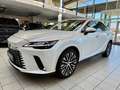 Lexus RX 350 H-EXECUTIVE-HEAD UP-360 CAM-21 ZOLL-BI LED Weiß - thumbnail 10