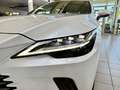 Lexus RX 350 H-EXECUTIVE-HEAD UP-360 CAM-21 ZOLL-BI LED Weiß - thumbnail 2