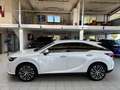Lexus RX 350 H-EXECUTIVE-HEAD UP-360 CAM-21 ZOLL-BI LED Weiß - thumbnail 3