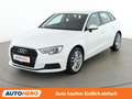 Audi A3 1.6 TDI Weiß - thumbnail 1