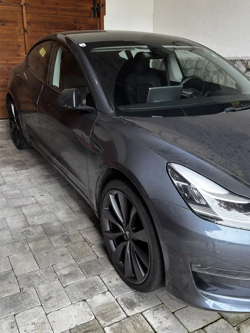 Tesla Model 3 Model 3 Performance Grau - 1