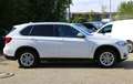 BMW X5 xDrive 30d Navi HUD AHK HiFi Standh. 360° Blanc - thumbnail 13
