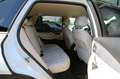 BMW X5 xDrive 30d Navi HUD AHK HiFi Standh. 360° Blanc - thumbnail 19