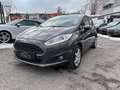 Ford Fiesta Titanium 1,0 mit Sitzheizung Tempomat Winterpaket Grau - thumbnail 1