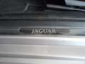 Jaguar S-Type FORTI SCONTI X CESSATA ATTIVITA' Silber - thumbnail 40