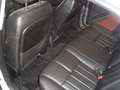 Jaguar S-Type FORTI SCONTI X CESSATA ATTIVITA' Silber - thumbnail 29