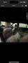 Opel Insignia Grand Sport 2,0 cdti OPC Line Vollaustattung - thumbnail 8