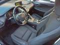Lexus NX 300 Hybrid Business Unico Proprietario Cronologia Tagl Gris - thumbnail 27