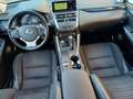 Lexus NX 300 Hybrid Business Unico Proprietario Cronologia Tagl Gris - thumbnail 17