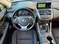 Lexus NX 300 Hybrid Business Unico Proprietario Cronologia Tagl Gris - thumbnail 19