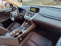 Lexus NX 300 Hybrid Business Unico Proprietario Cronologia Tagl Gris - thumbnail 25