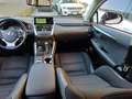 Lexus NX 300 Hybrid Business Unico Proprietario Cronologia Tagl Gris - thumbnail 23