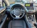 Lexus NX 300 Hybrid Business Unico Proprietario Cronologia Tagl Gris - thumbnail 18