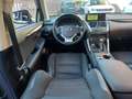 Lexus NX 300 Hybrid Business Unico Proprietario Cronologia Tagl Gris - thumbnail 22