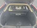 Volvo XC60 XC60 B4 Plus-Dark Aut Glasd Nappaleder perforiert Nero - thumbnail 4