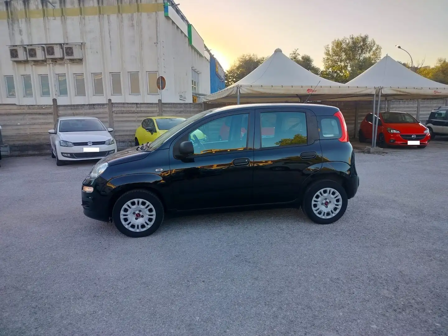 Fiat Panda III 2016 1.2 Easy s Nero - 2