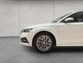 Skoda Octavia Combi 1.5 TSI e-TEC DSG Tour Windschutzsch Weiß - thumbnail 20