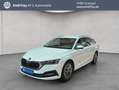 Skoda Octavia Combi 1.5 TSI e-TEC DSG Tour Windschutzsch Weiß - thumbnail 1