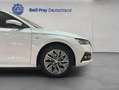 Skoda Octavia Combi 1.5 TSI e-TEC DSG Tour Windschutzsch Weiß - thumbnail 21
