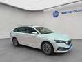 Skoda Octavia Combi 1.5 TSI e-TEC DSG Tour Windschutzsch Weiß - thumbnail 8