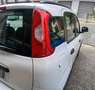 Fiat Panda 1.3 MJT 95 CV S&S 4x4 Blanco - thumbnail 14