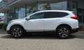 Honda CR-V 1.5T 4WD CVT Lifestyle 'AHK' Alb - thumbnail 8