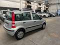 Fiat Panda Panda 1.2 Dynamic69cv prezzo reale ok neopatentati Argento - thumbnail 6