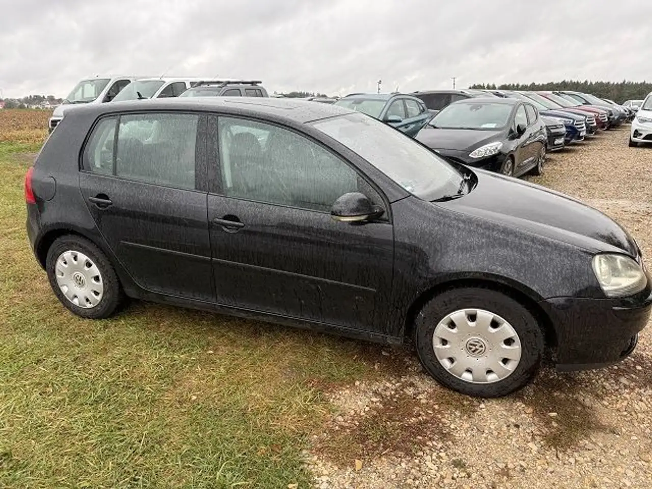 2006 Volkswagen Golf V Lim. Comfortline 4Motion, photograph 6