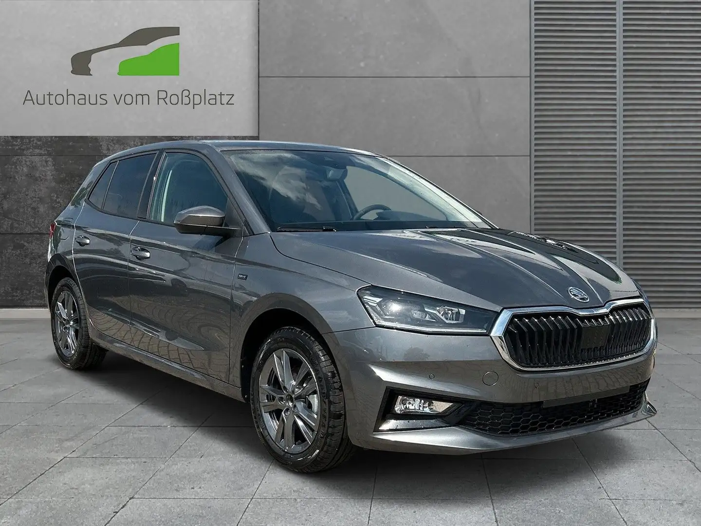 Skoda Fabia 1.0l TSI 85kW DSG Drive Grau - 1