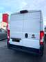 Fiat Ducato Ducato 35 2.2 Mjt 140CV PLM-TM Furgone **PREZZO + Blanc - thumbnail 2