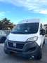Fiat Ducato Ducato 35 2.2 Mjt 140CV PLM-TM Furgone **PREZZO + Blanc - thumbnail 1