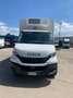 Iveco daily 60c16 con cassa frigo Blu/Azzurro - thumbnail 1