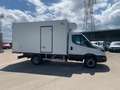 Iveco daily 60c16 con cassa frigo Blu/Azzurro - thumbnail 3