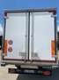 Iveco daily 60c16 con cassa frigo Blu/Azzurro - thumbnail 4