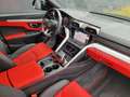 Lamborghini Urus 4.0BiTurbo V8*EX.ROMELU LUKAKU*B&O*HUD*23"ALU*360' Zwart - thumbnail 14