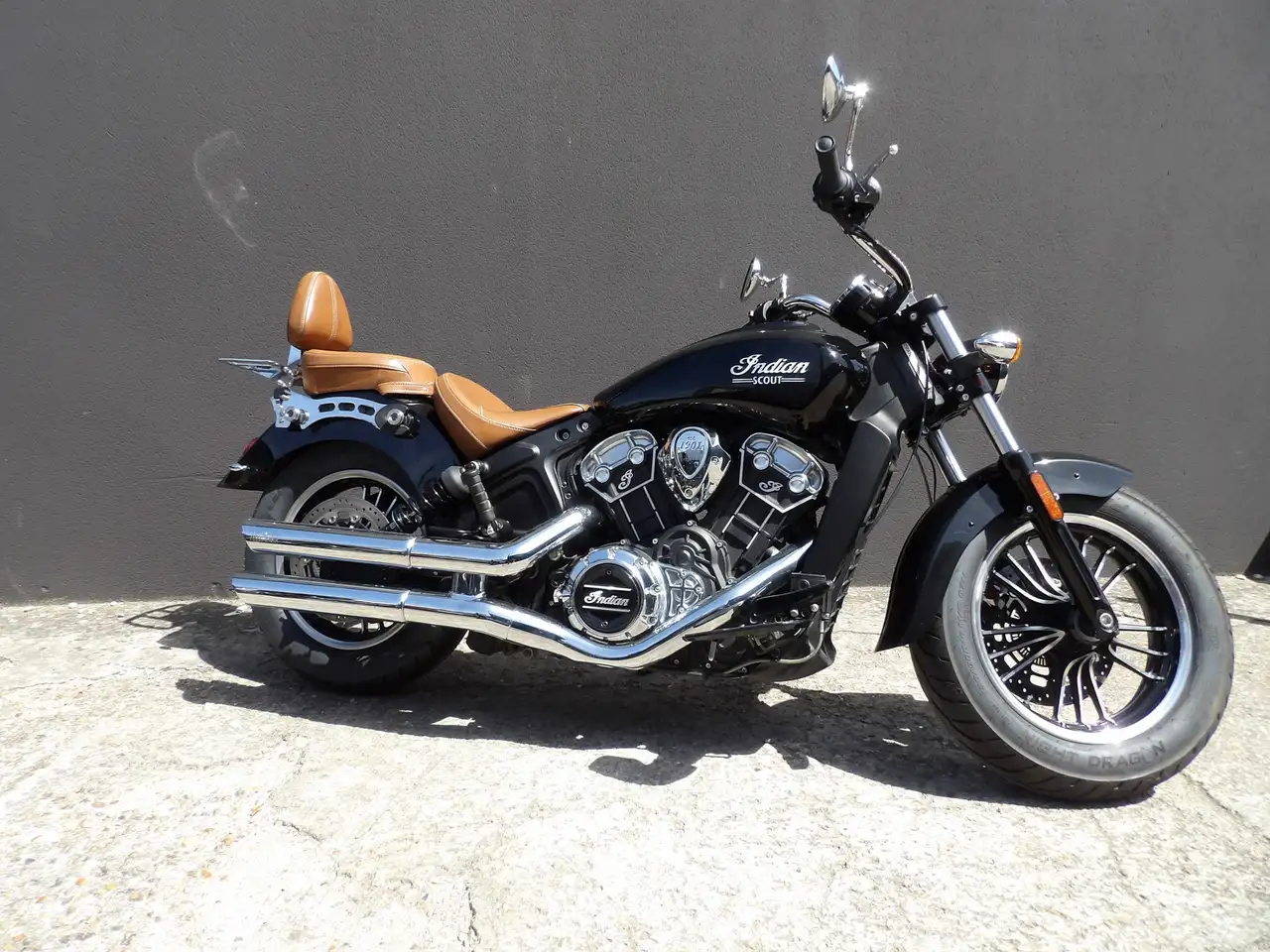 Indian Scout