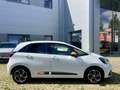 Honda Jazz 1.5 i-MMD Hybrid e-CVT Executive Белый - thumbnail 8