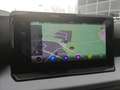 SEAT Ibiza IBIZA ROAD EDITION 1.0 TSI NAVI RFK SITZHZG. Grau - thumbnail 11