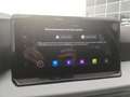 SEAT Ibiza IBIZA ROAD EDITION 1.0 TSI NAVI RFK SITZHZG. Grau - thumbnail 13