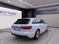Audi A4 30 TDI S LINE PANO MATRIX NAVI PDC Weiß - thumbnail 5