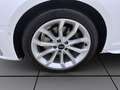 Audi A4 30 TDI S LINE PANO MATRIX NAVI PDC Weiß - thumbnail 8