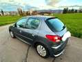 Peugeot 206 206 Plus 5p 1.1 Trendy eco-Gpl Сірий - thumbnail 3