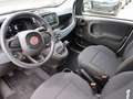 Fiat Panda Pandina 1,0 GSE Klimaanlage PDC M+S Weiß - thumbnail 10