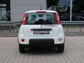Fiat Panda Pandina 1,0 GSE Klimaanlage PDC M+S Weiß - thumbnail 5
