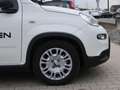 Fiat Panda Pandina 1,0 GSE Klimaanlage PDC M+S Weiß - thumbnail 8